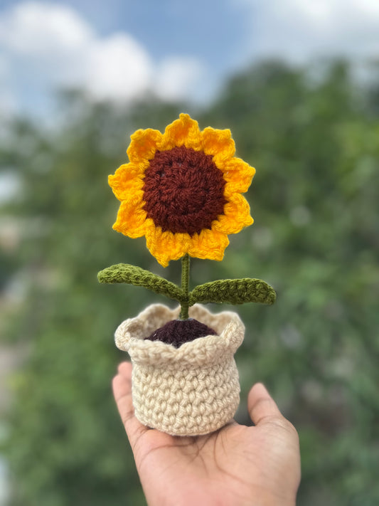 Sunflower pot