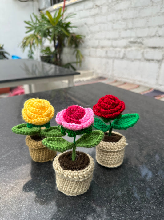 Rose pot
