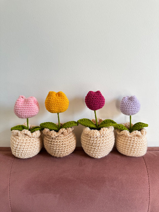 Tulip flower pot