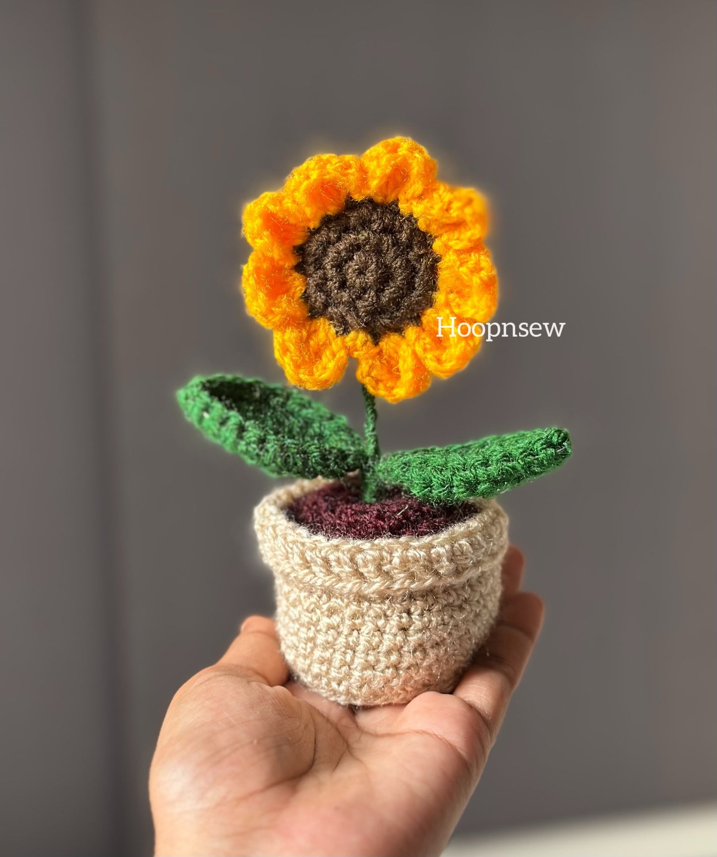 Sunflower pot