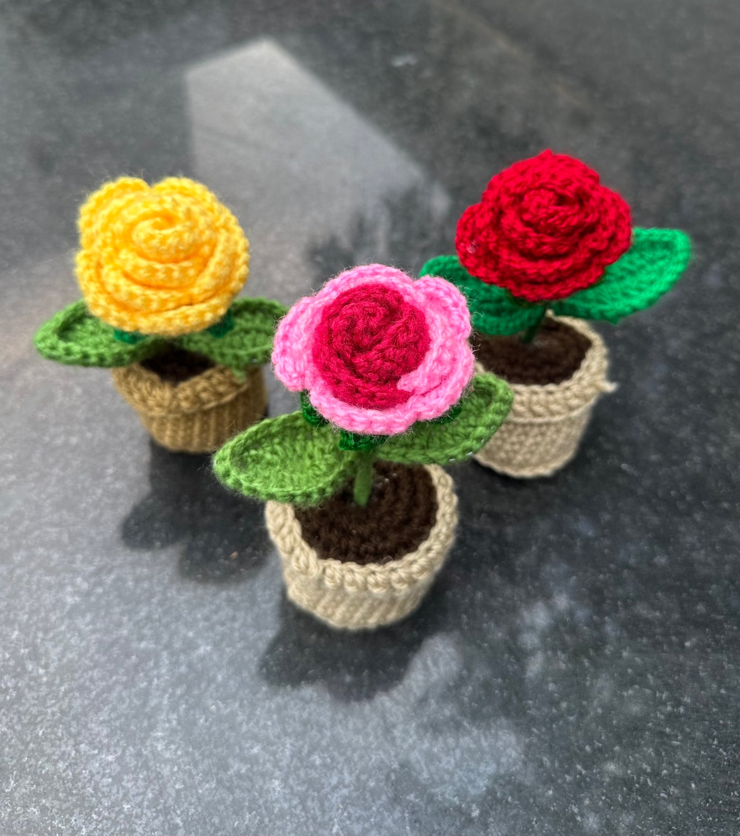 Rose pot