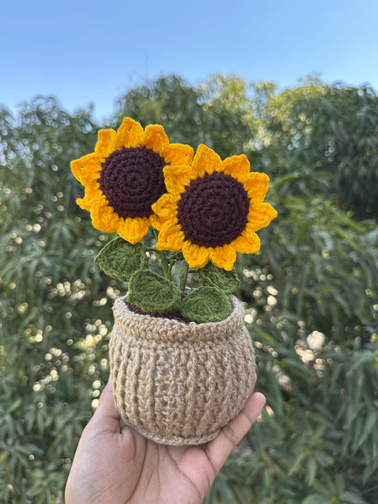 Sunflower duo pot