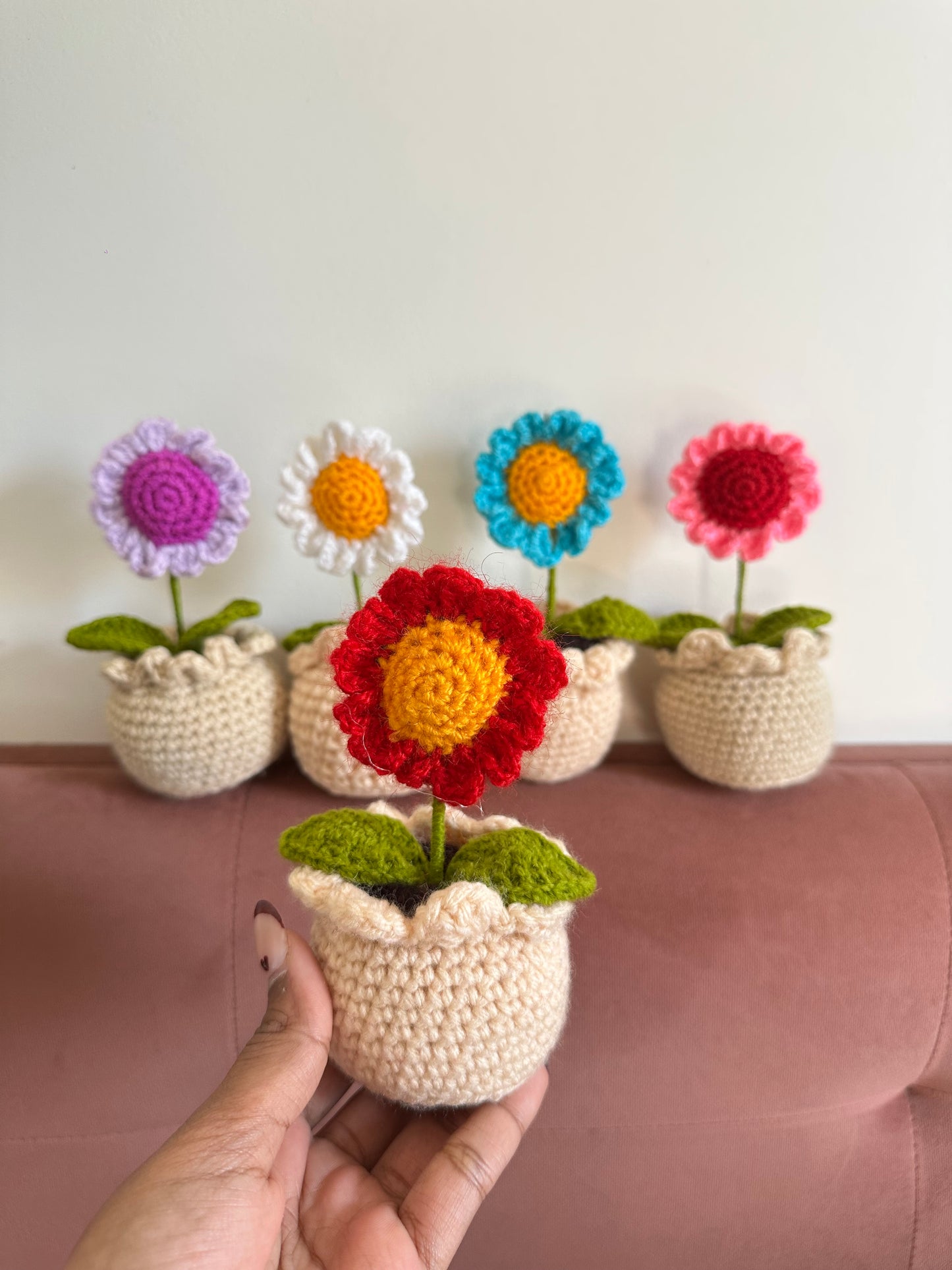 Daisy flower pot