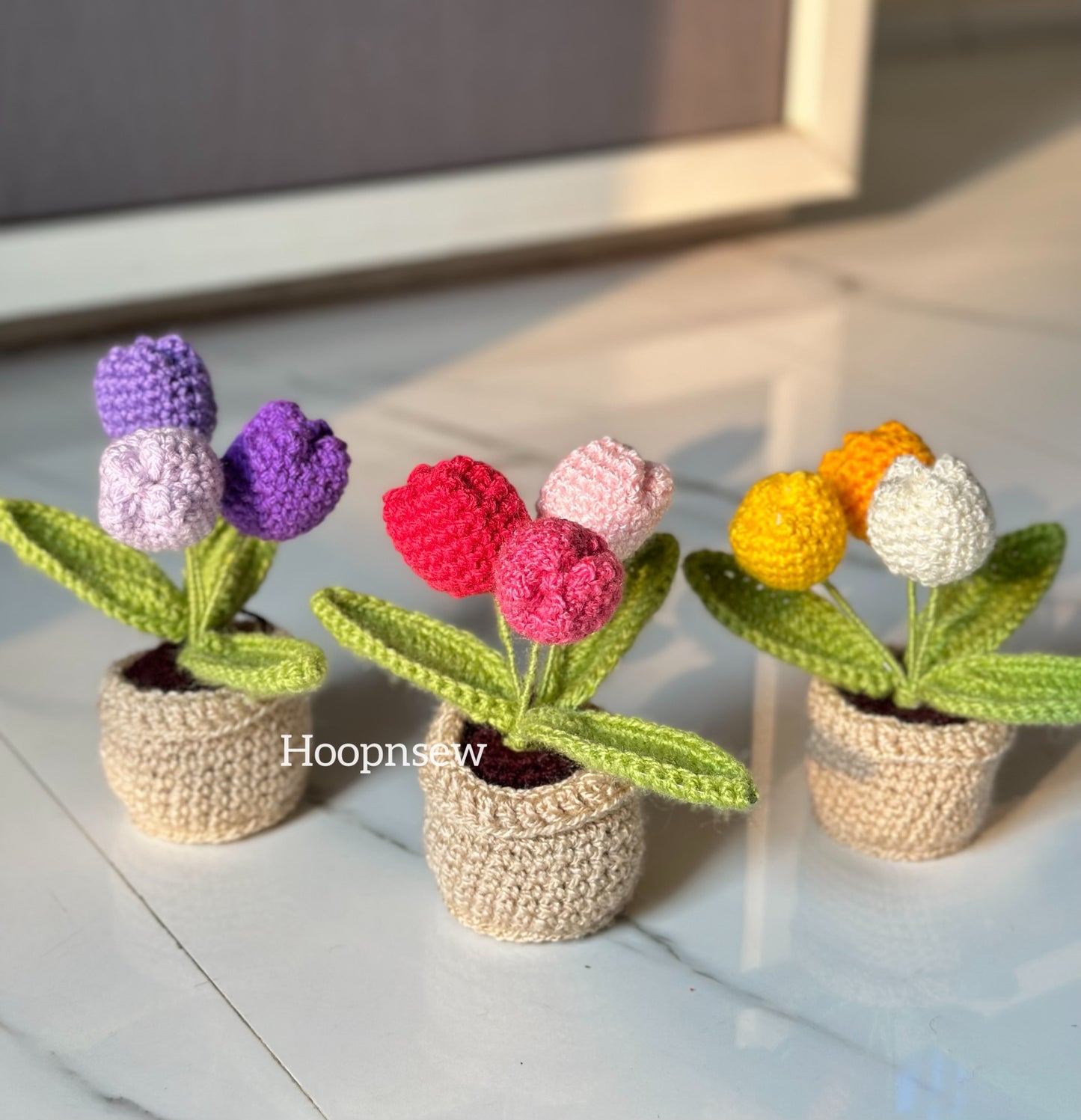 3 tulips flower pot