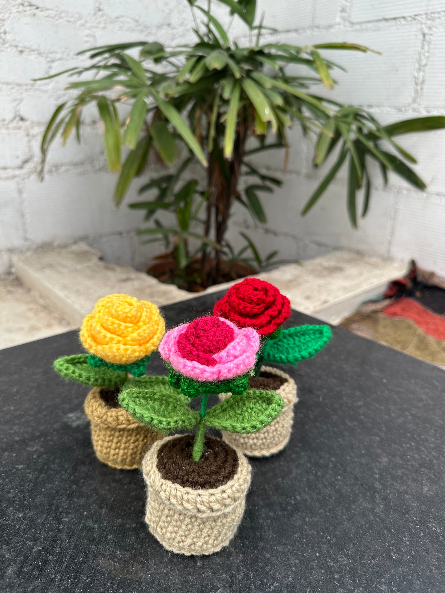 Rose pot
