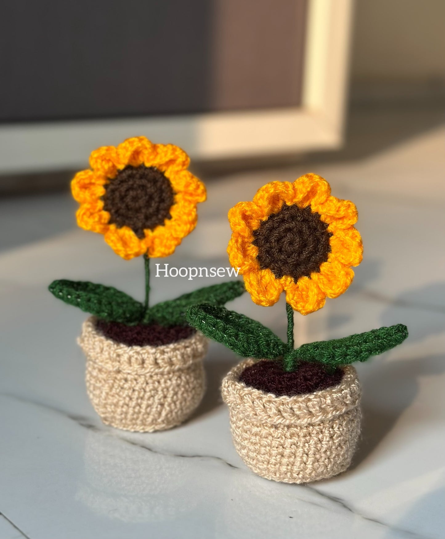 Sunflower pot